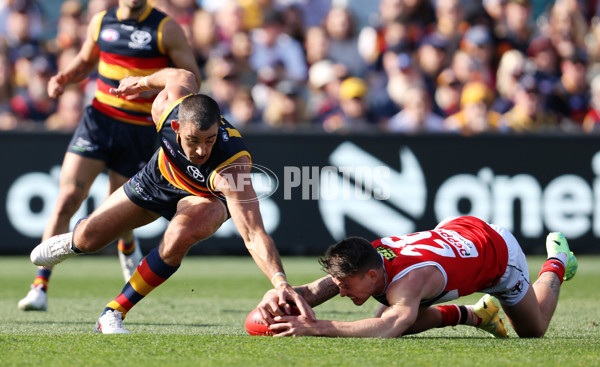 AFL Rd 9 - Adelaide v St Kilda - A-1523921