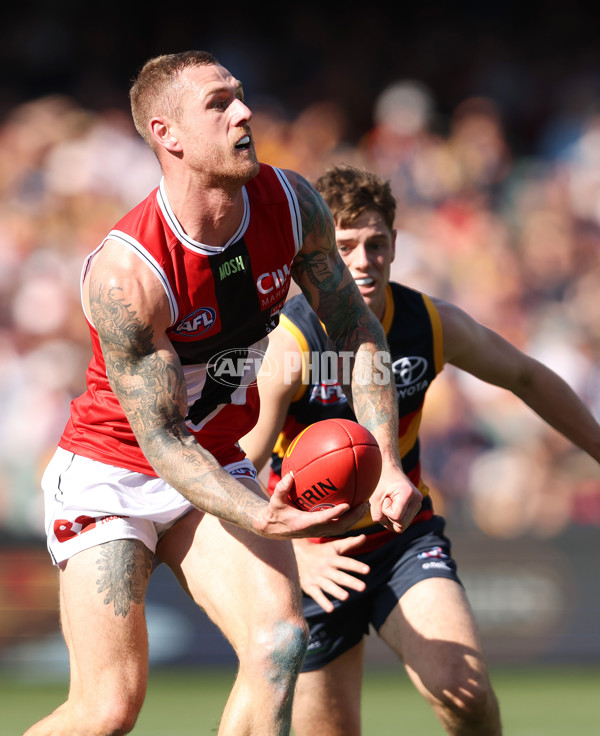 AFL Rd 9 - Adelaide v St Kilda - A-1525416