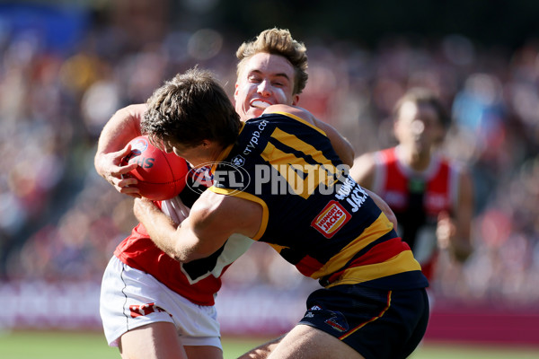 AFL Rd 9 - Adelaide v St Kilda - A-1525452