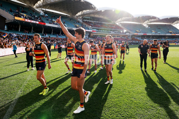 AFL Rd 9 - Adelaide v St Kilda - A-1525484