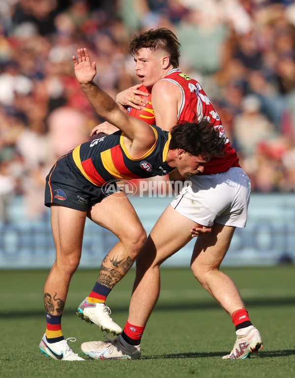 AFL Rd 9 - Adelaide v St Kilda - A-1528737