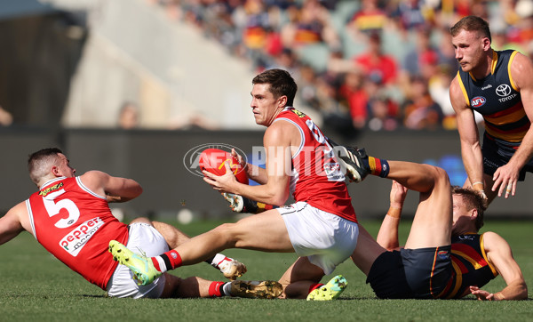 AFL Rd 9 - Adelaide v St Kilda - A-1528805