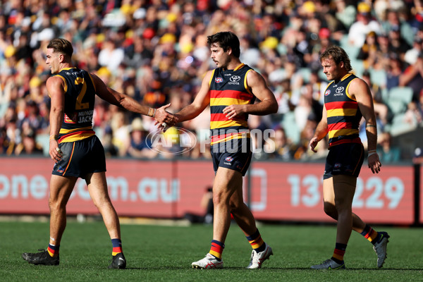 AFL Rd 9 - Adelaide v St Kilda - A-1529952