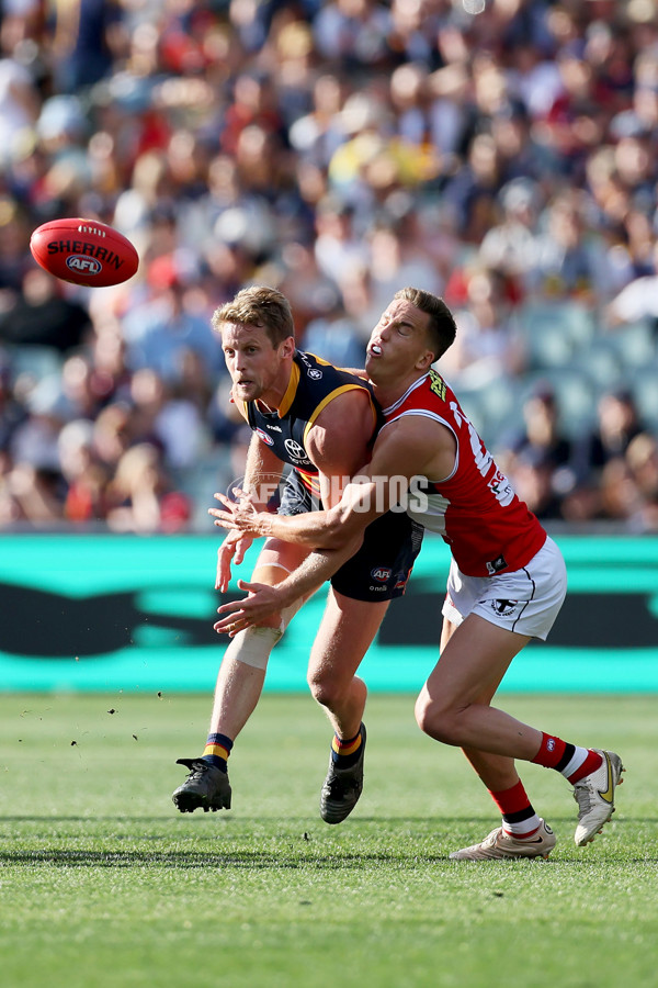 AFL Rd 9 - Adelaide v St Kilda - A-1529959