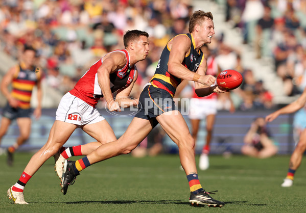 AFL Rd 9 - Adelaide v St Kilda - A-1531819