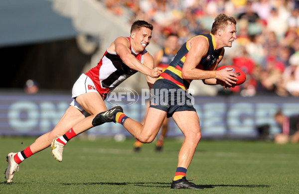 AFL Rd 9 - Adelaide v St Kilda - A-1533183