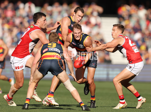 AFL Rd 9 - Adelaide v St Kilda - A-1533187