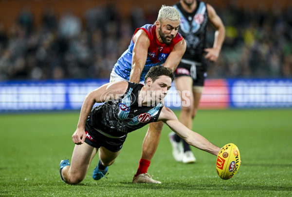 AFL 2023 Round 10 - Yartapuulti v Narrm - A-1554750