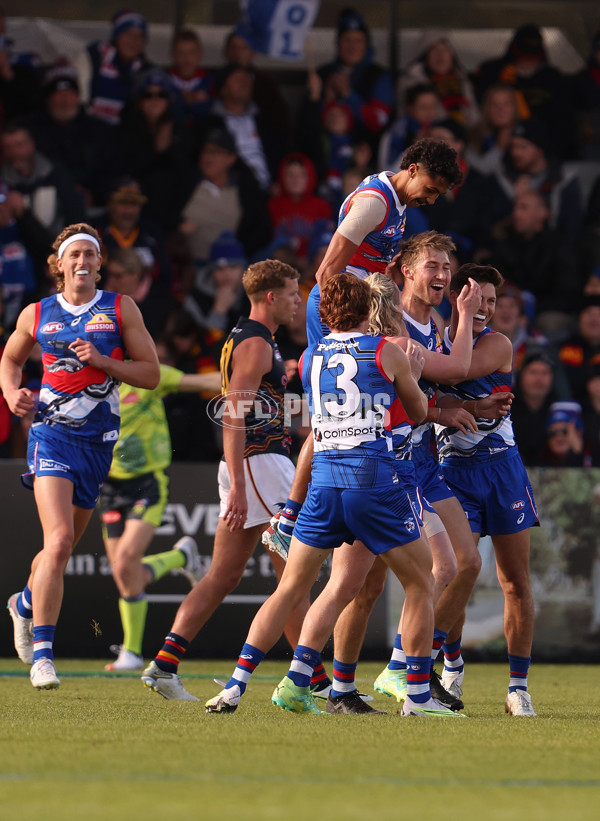 AFL 2023 Round 10 - Western Bulldogs v Adelaide - A-1566134