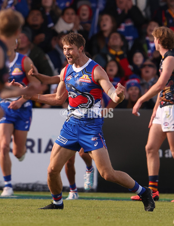 AFL 2023 Round 10 - Western Bulldogs v Adelaide - A-1566135