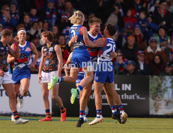 AFL 2023 Round 10 - Western Bulldogs v Adelaide - A-1566137