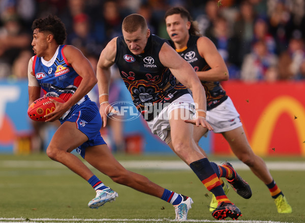 AFL 2023 Round 10 - Western Bulldogs v Adelaide - A-1566825