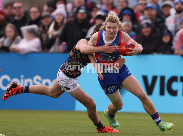 AFL 2023 Round 10 - Western Bulldogs v Adelaide - A-1569477