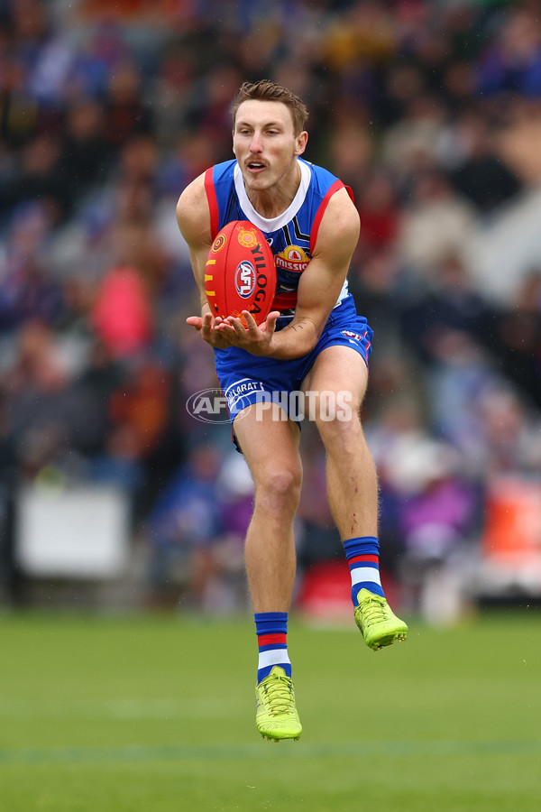 AFL 2023 Round 10 - Western Bulldogs v Adelaide - A-1569512