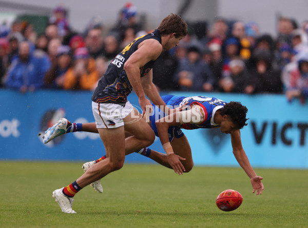 AFL 2023 Round 10 - Western Bulldogs v Adelaide - A-1569649