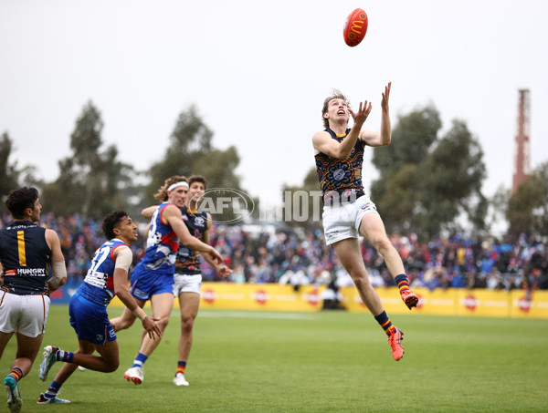 AFL 2023 Round 10 - Western Bulldogs v Adelaide - A-1569652