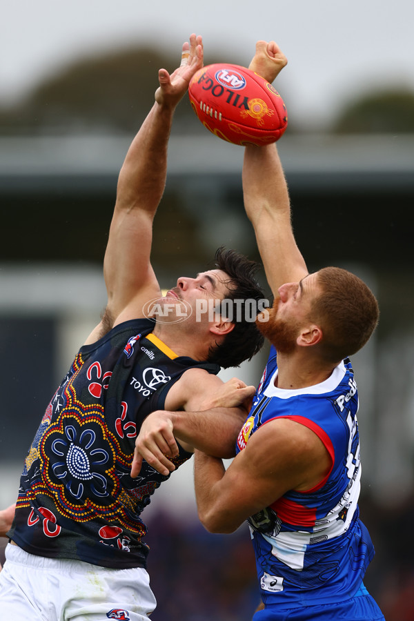 AFL 2023 Round 10 - Western Bulldogs v Adelaide - A-1569726