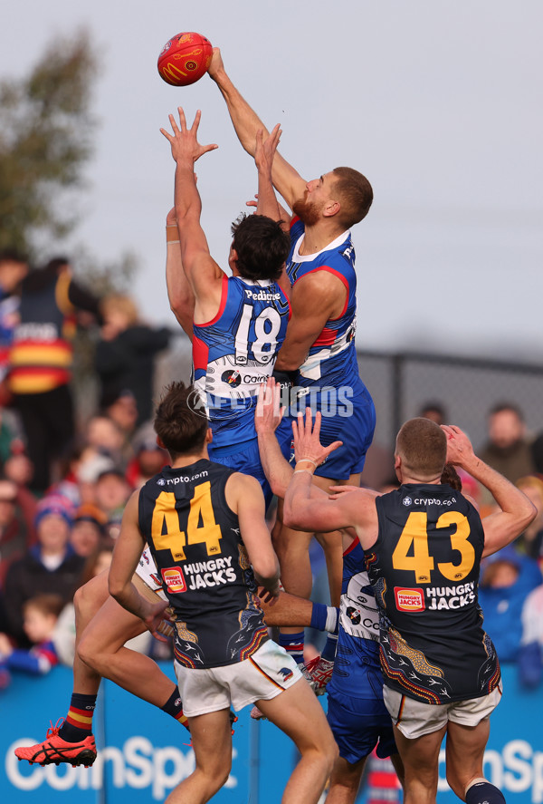 AFL 2023 Round 10 - Western Bulldogs v Adelaide - A-1572668