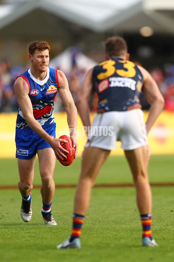 AFL 2023 Round 10 - Western Bulldogs v Adelaide - A-1575611