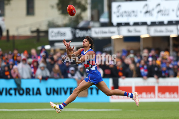 AFL 2023 Round 10 - Western Bulldogs v Adelaide - A-1575617