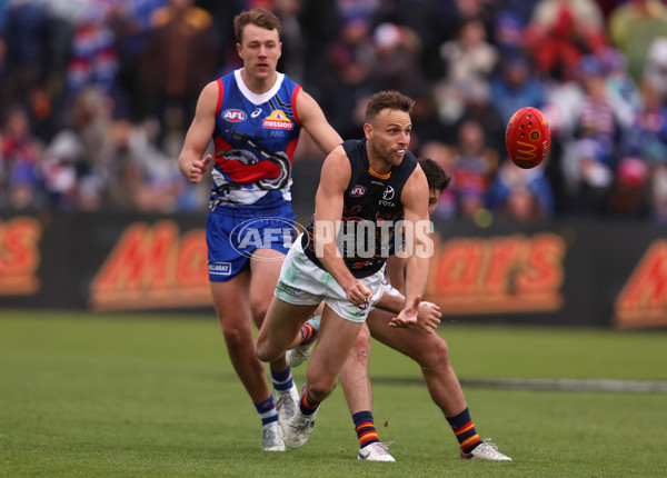 AFL 2023 Round 10 - Western Bulldogs v Adelaide - A-1575652