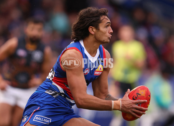 AFL 2023 Round 10 - Western Bulldogs v Adelaide - A-1575950