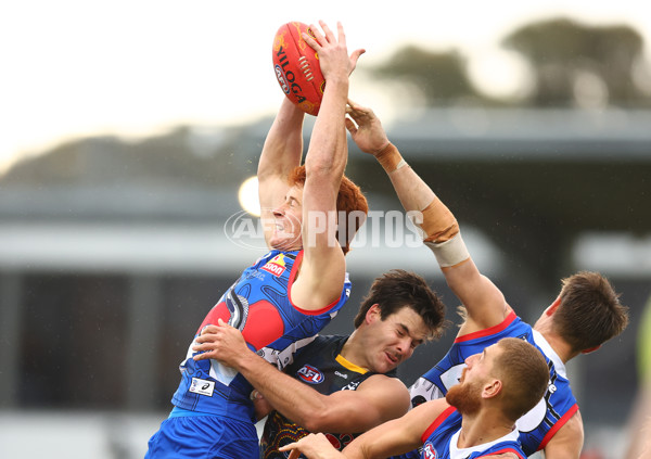 AFL 2023 Round 10 - Western Bulldogs v Adelaide - A-1578698