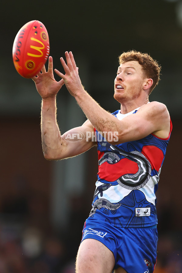 AFL 2023 Round 10 - Western Bulldogs v Adelaide - A-1578708