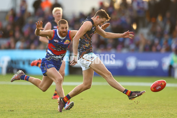 AFL 2023 Round 10 - Western Bulldogs v Adelaide - A-1578709