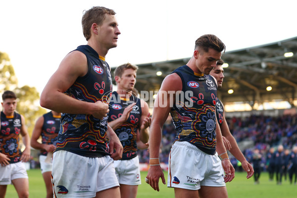 AFL 2023 Round 10 - Western Bulldogs v Adelaide - A-1578720