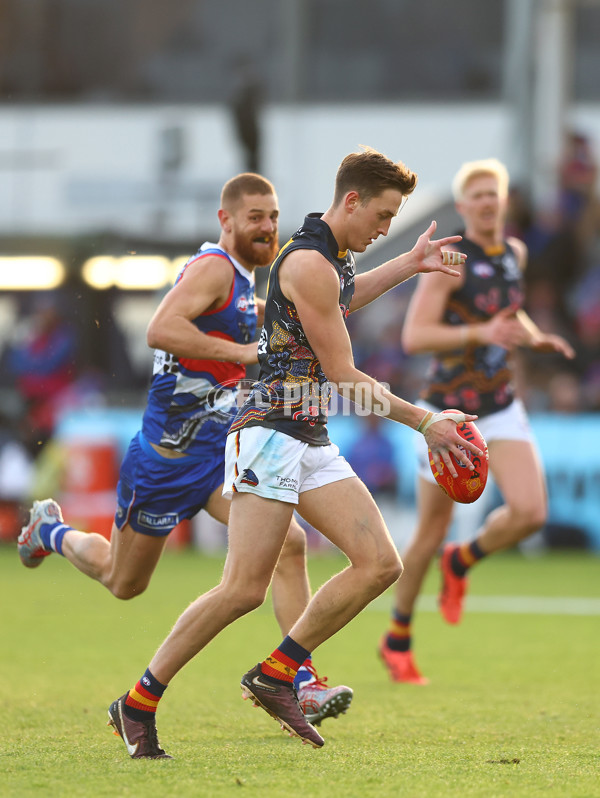 AFL 2023 Round 10 - Western Bulldogs v Adelaide - A-1579198