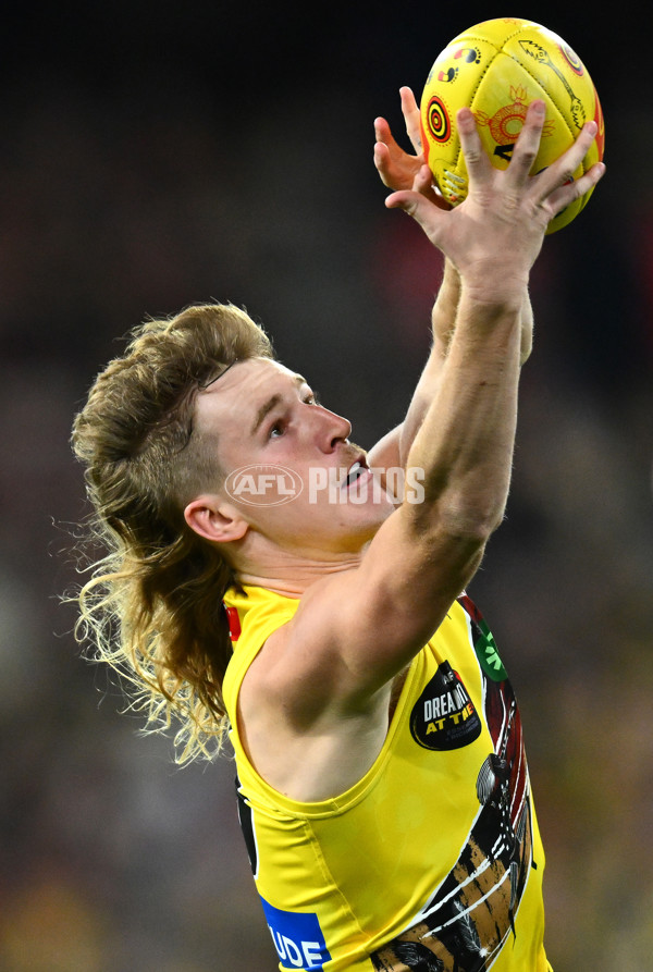 AFL 2023 Round 10 - Essendon v Richmond - A-1594746