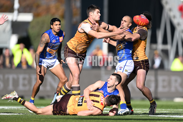 AFL 2023 Round 10 - Hawthorn v West Coast - A-1605078