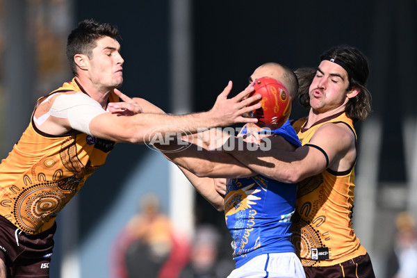 AFL 2023 Round 10 - Hawthorn v West Coast - A-1605079