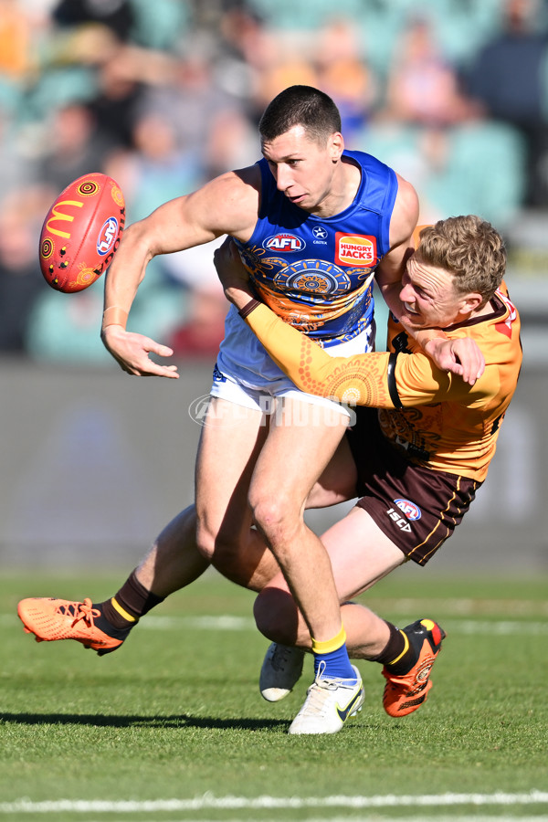 AFL 2023 Round 10 - Hawthorn v West Coast - A-1609575