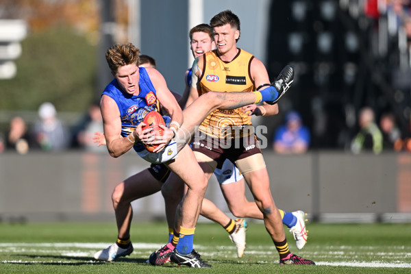 AFL 2023 Round 10 - Hawthorn v West Coast - A-1609584