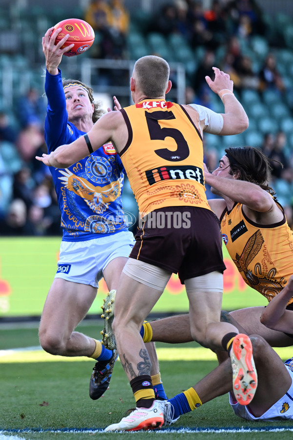 AFL 2023 Round 10 - Hawthorn v West Coast - A-1610144