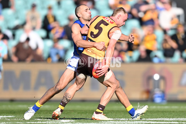 AFL 2023 Round 10 - Hawthorn v West Coast - A-1610151