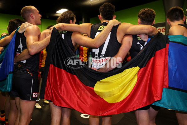 AFL 2023 Round 10 - GWS v St Kilda - A-1619115