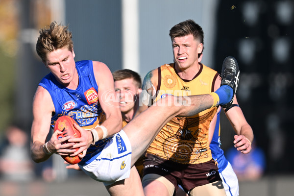 AFL 2023 Round 10 - Hawthorn v West Coast - A-1622191