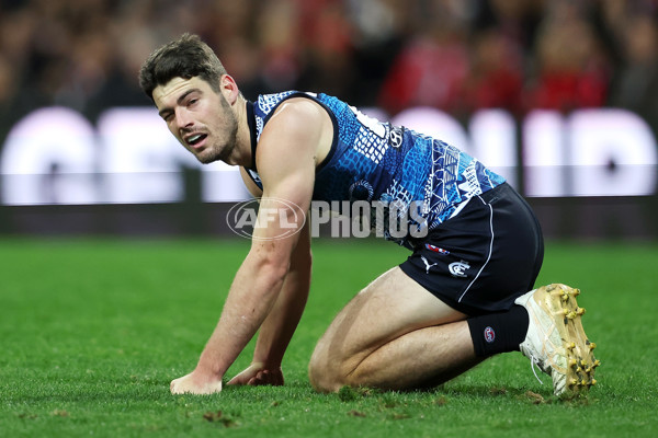 AFL 2023 Round 11 - Sydney v Carlton - A-1643151