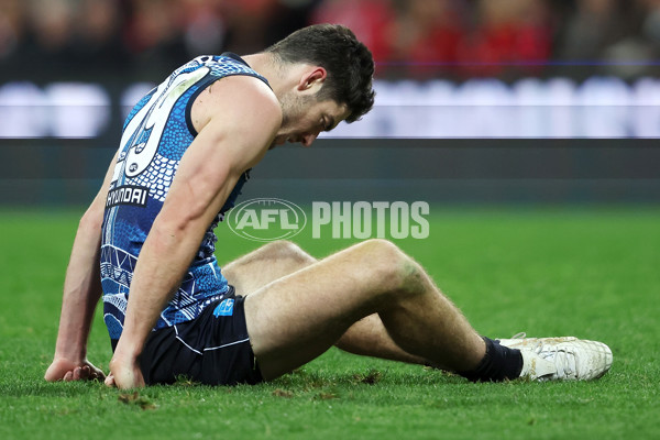 AFL 2023 Round 11 - Sydney v Carlton - A-1643154