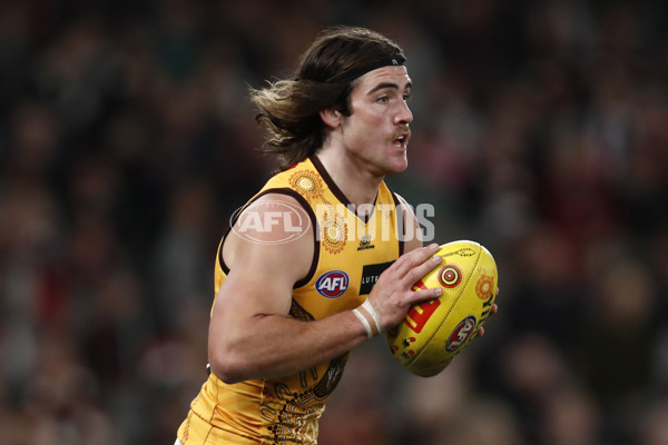 AFL 2023 Round 11 - St Kilda v Hawthorn - A-1651525