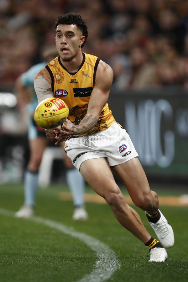 AFL 2023 Round 11 - St Kilda v Hawthorn - A-1651531