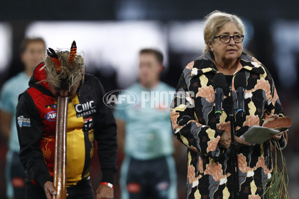 AFL 2023 Round 11 - St Kilda v Hawthorn - A-1654189