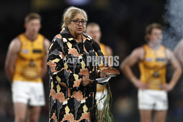 AFL 2023 Round 11 - St Kilda v Hawthorn - A-1654190