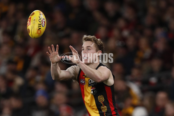 AFL 2023 Round 11 - St Kilda v Hawthorn - A-1656041