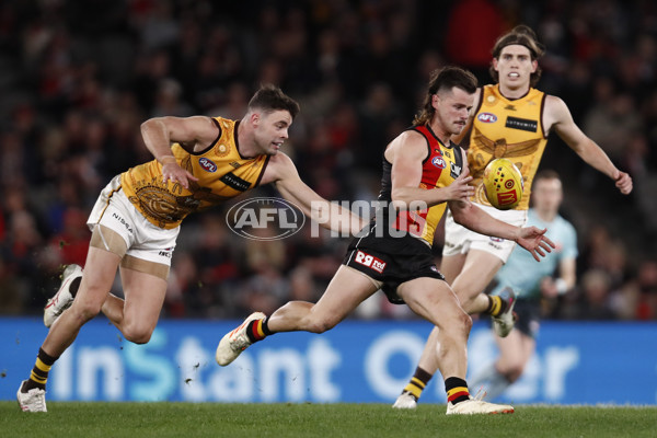 AFL 2023 Round 11 - St Kilda v Hawthorn - A-1665625