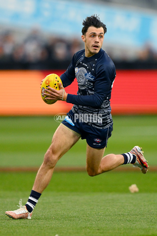 AFL 2023 Round 11 - Geelong v GWS - A-1665646