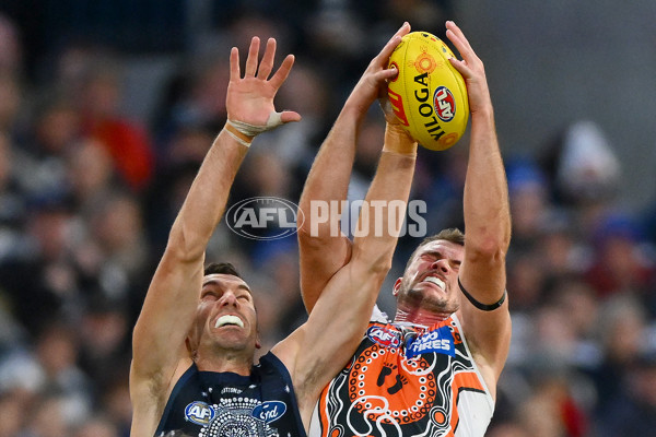 AFL 2023 Round 11 - Geelong v GWS - A-1666650